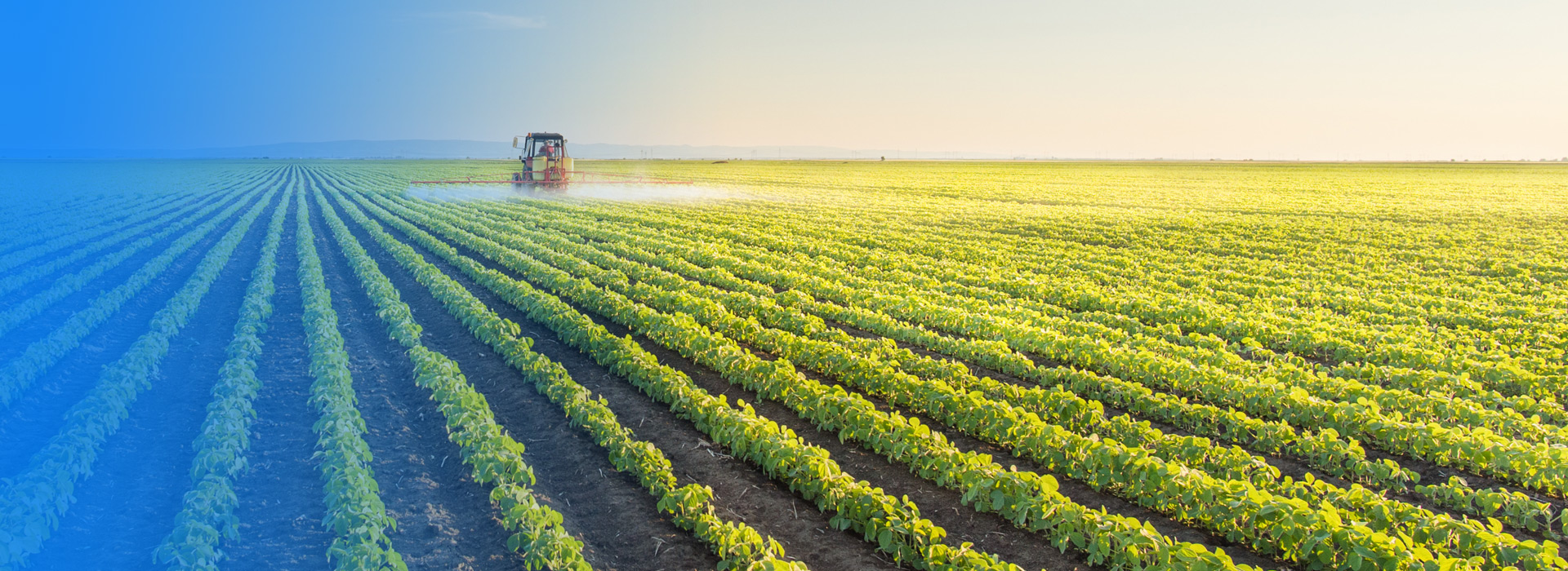 217永信贵宾会农业公司