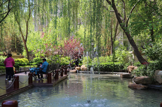 217永信贵宾会集团